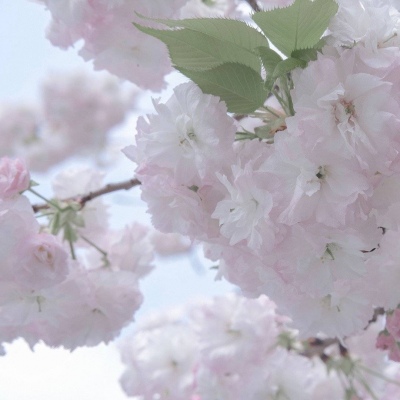 镇远FurryQQ群介绍